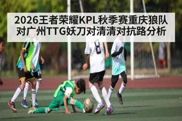 2026王者荣耀KPL秋季赛重庆狼队对广州TTG妖刀对清清对抗路分析